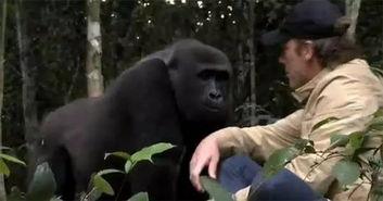 飓风卡崔娜：隐藏的伤痕,揭开隐藏的伤痕与未愈的创伤